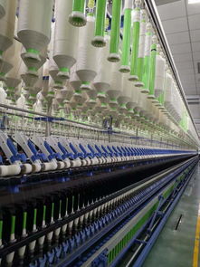 世界最大毛巾廠轉身擁抱互聯網，為何獨選拼多多？