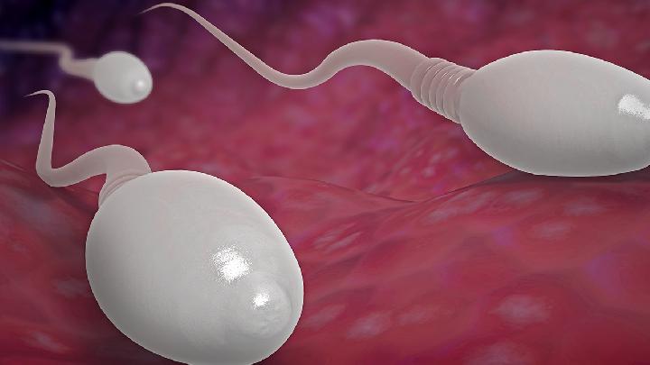 暗中潛伏的隱形殺手 塑料污染如何蠶食男性生育能力